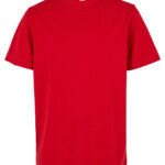 Organic kids basic tee