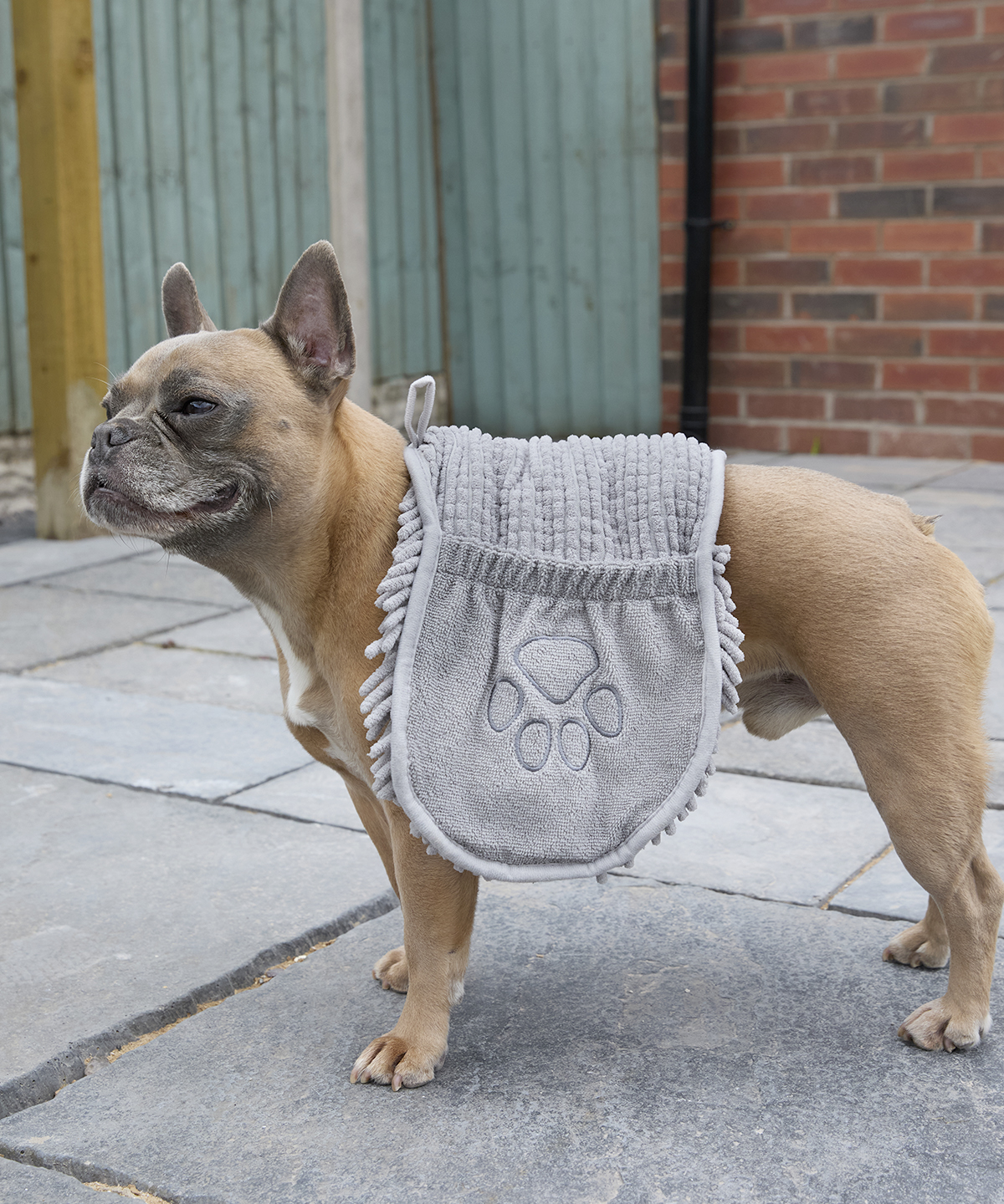 Noodle pet towel 1 Noodle pet towel