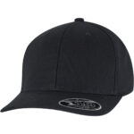 110 Flexfit curved snapback (9293)